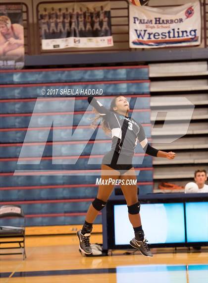Thumbnail 3 in Sunlake @ Palm Harbor University photogallery.