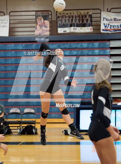 Thumbnail 3 in Sunlake @ Palm Harbor University photogallery.