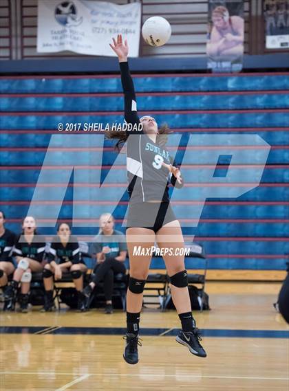 Thumbnail 3 in Sunlake @ Palm Harbor University photogallery.