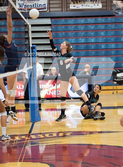 Thumbnail 2 in Sunlake @ Palm Harbor University photogallery.