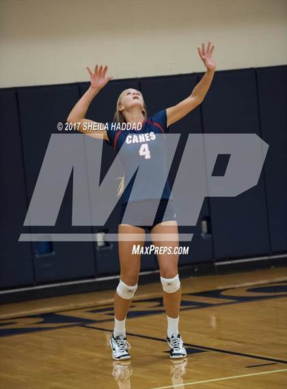 Thumbnail 3 in Sunlake @ Palm Harbor University photogallery.