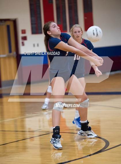 Thumbnail 3 in Sunlake @ Palm Harbor University photogallery.