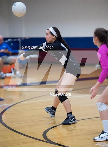 Thumbnail 2 in Sunlake @ Palm Harbor University photogallery.