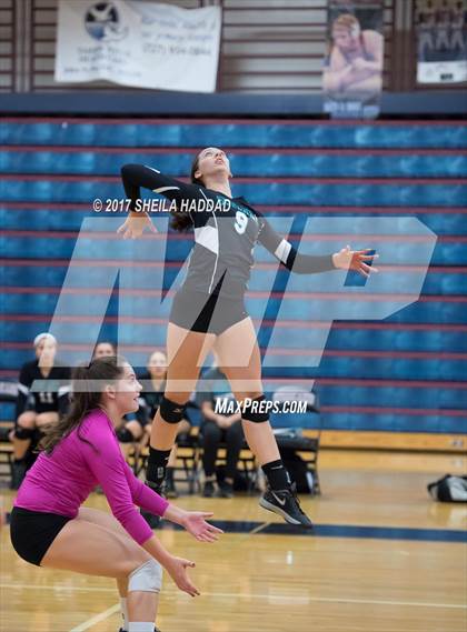 Thumbnail 1 in Sunlake @ Palm Harbor University photogallery.