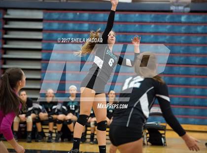 Thumbnail 3 in Sunlake @ Palm Harbor University photogallery.