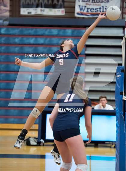 Thumbnail 1 in Sunlake @ Palm Harbor University photogallery.