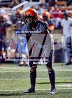 Photo from the gallery "Rosemont @ Foothill"