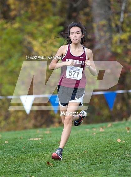 Thumbnail 1 in PIAA Class AAA Championship photogallery.