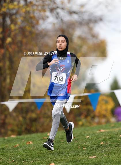 Thumbnail 3 in PIAA Class AAA Championship photogallery.