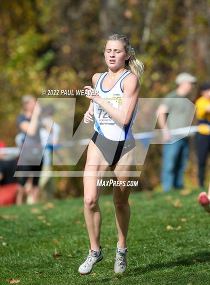 Thumbnail 2 in PIAA Class AAA Championship photogallery.