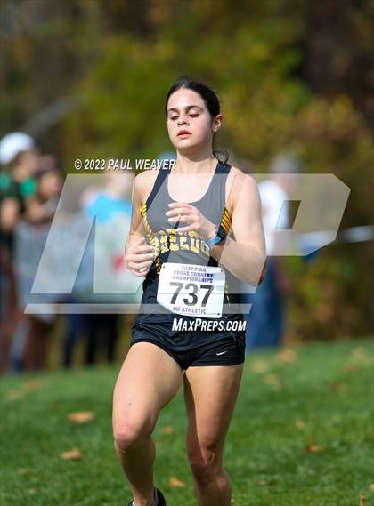 Thumbnail 1 in PIAA Class AAA Championship photogallery.