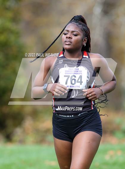 Thumbnail 1 in PIAA Class AAA Championship photogallery.