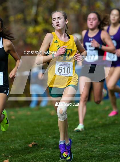 Thumbnail 1 in PIAA Class AAA Championship photogallery.