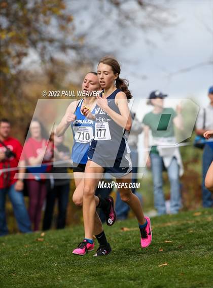 Thumbnail 2 in PIAA Class AAA Championship photogallery.