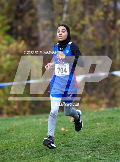 Thumbnail 1 in PIAA Class AAA Championship photogallery.