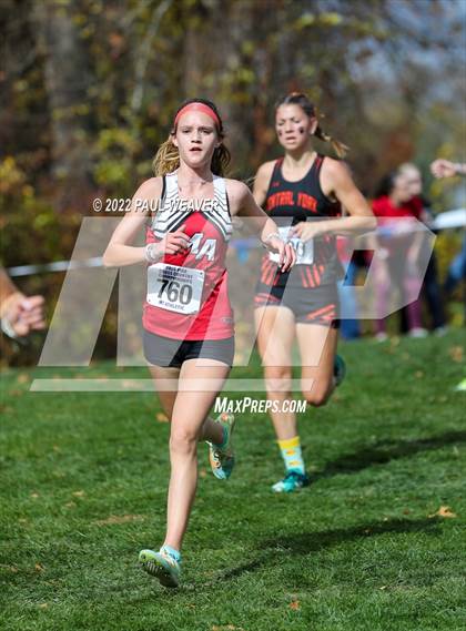Thumbnail 3 in PIAA Class AAA Championship photogallery.