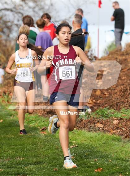 Thumbnail 2 in PIAA Class AAA Championship photogallery.