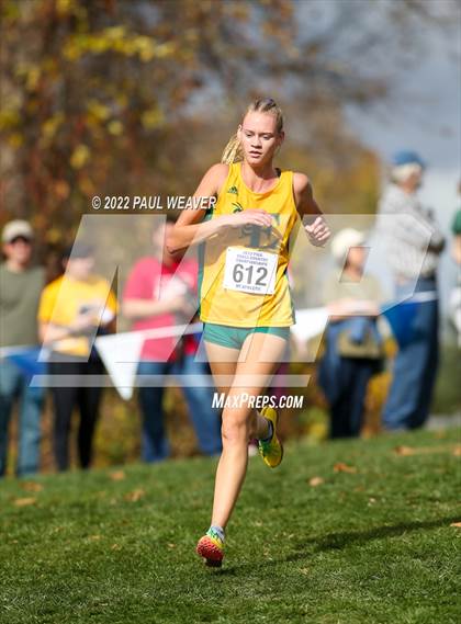 Thumbnail 2 in PIAA Class AAA Championship photogallery.
