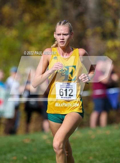 Thumbnail 3 in PIAA Class AAA Championship photogallery.
