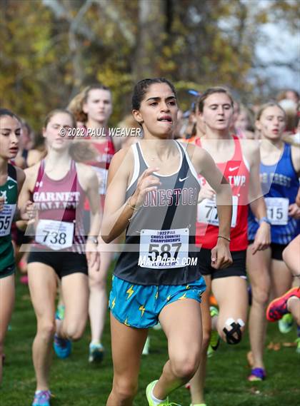 Thumbnail 3 in PIAA Class AAA Championship photogallery.