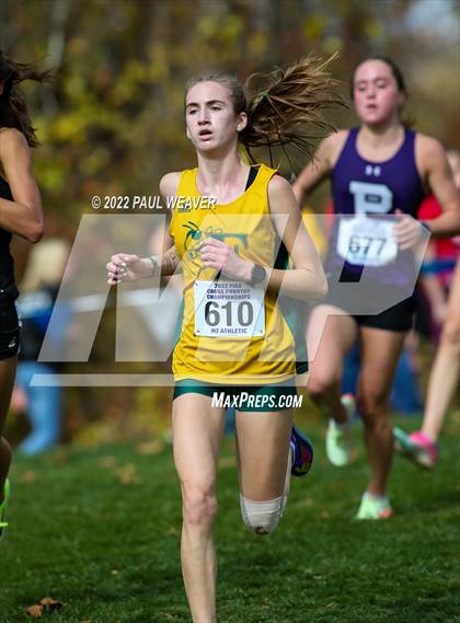 Thumbnail 3 in PIAA Class AAA Championship photogallery.