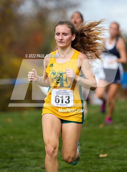 Thumbnail 1 in PIAA Class AAA Championship photogallery.