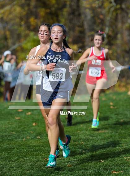 Thumbnail 2 in PIAA Class AAA Championship photogallery.