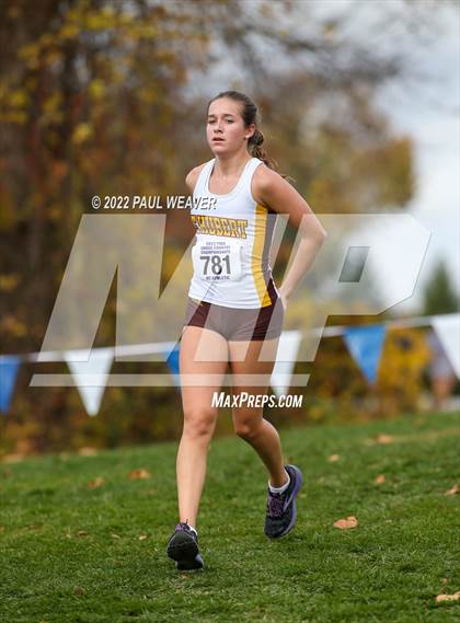 Thumbnail 3 in PIAA Class AAA Championship photogallery.