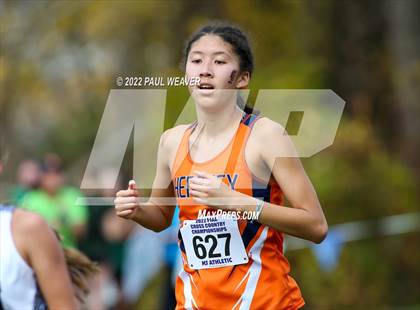 Thumbnail 2 in PIAA Class AAA Championship photogallery.