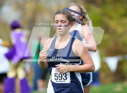 Thumbnail 1 in PIAA Class AAA Championship photogallery.