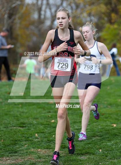 Thumbnail 1 in PIAA Class AAA Championship photogallery.