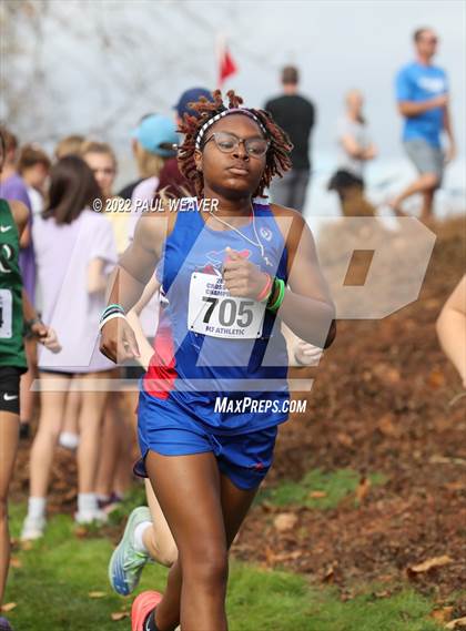 Thumbnail 2 in PIAA Class AAA Championship photogallery.