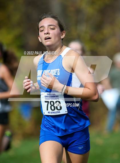 Thumbnail 2 in PIAA Class AAA Championship photogallery.
