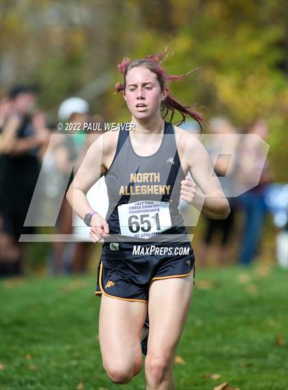 Thumbnail 1 in PIAA Class AAA Championship photogallery.