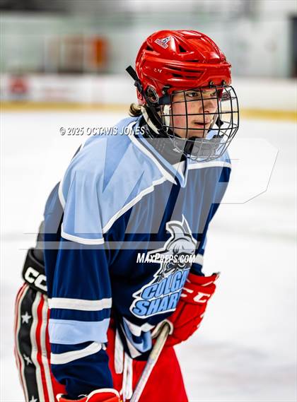 Thumbnail 1 in Charles J. Colgan @ Lake Braddock photogallery.