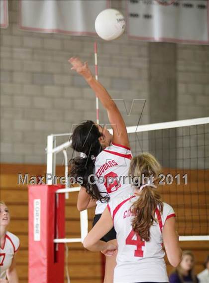 Thumbnail 2 in Shasta @ Foothill photogallery.