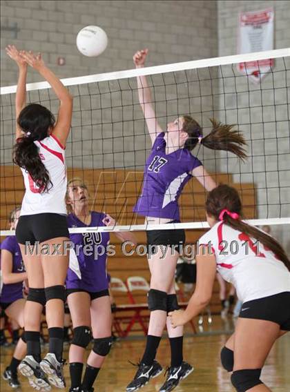 Thumbnail 1 in Shasta @ Foothill photogallery.
