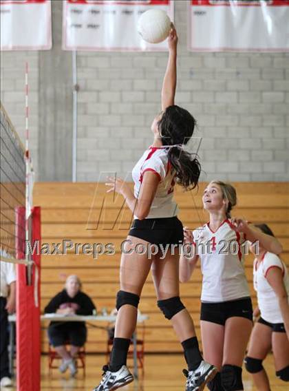 Thumbnail 1 in Shasta @ Foothill photogallery.