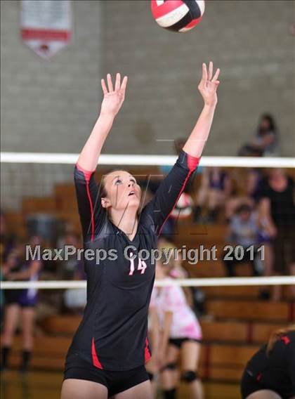 Thumbnail 2 in Shasta @ Foothill photogallery.