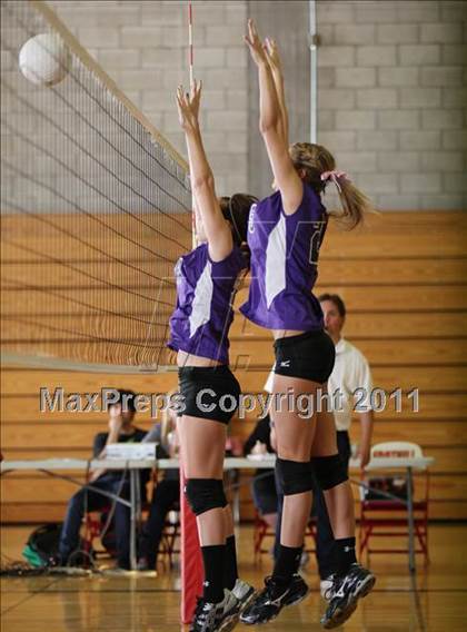 Thumbnail 2 in Shasta @ Foothill photogallery.