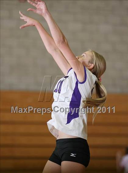 Thumbnail 3 in Shasta @ Foothill photogallery.