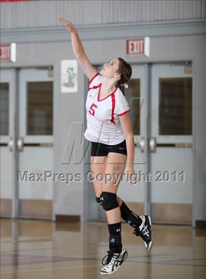 Thumbnail 1 in Shasta @ Foothill photogallery.