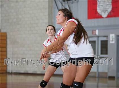 Thumbnail 2 in Shasta @ Foothill photogallery.