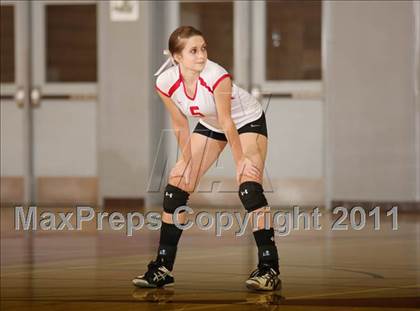 Thumbnail 2 in Shasta @ Foothill photogallery.