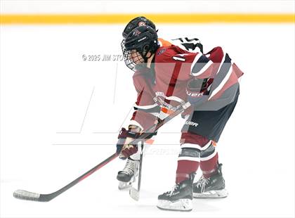 Thumbnail 3 in Thayer Academy @ Avon Old Farms photogallery.