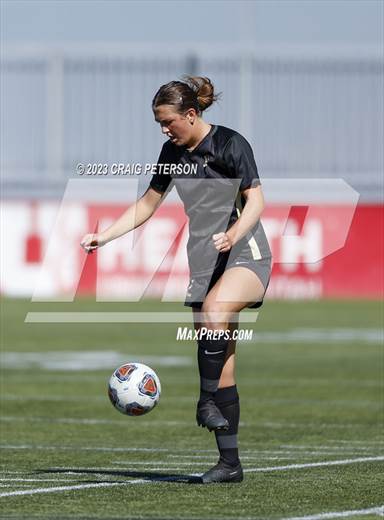 null - Photo 41