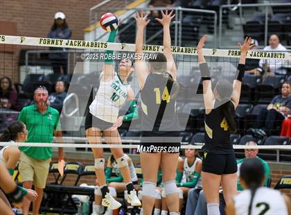 Thumbnail 3 in Crandall vs Tatum (Raising Cane's Volleyball Showcase)  photogallery.