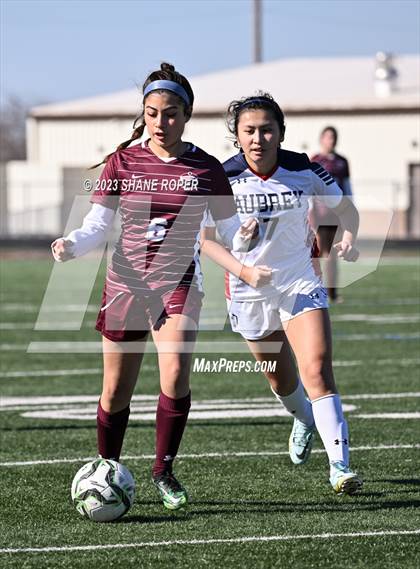 Thumbnail 1 in Sherman vs. Aubrey (Princeton Cup Showcase) photogallery.