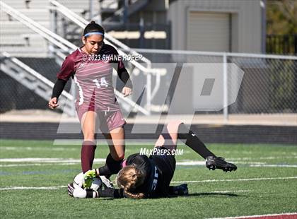 Thumbnail 1 in Sherman vs. Aubrey (Princeton Cup Showcase) photogallery.