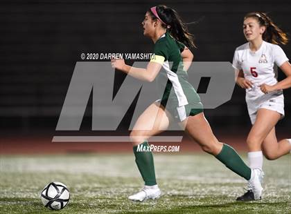 Thumbnail 2 in Albany @ El Cerrito (CIF NCS D3 First Round) photogallery.